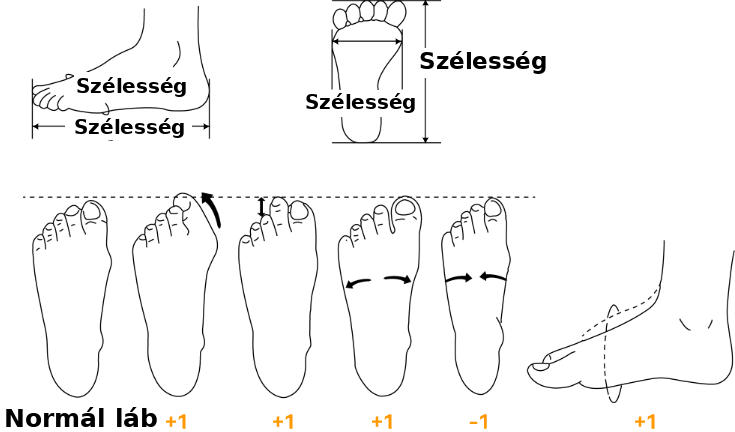 Size guide illustration